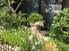 -开心草帽(文化西路店)