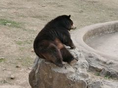 -无锡动物园·太湖欢乐园