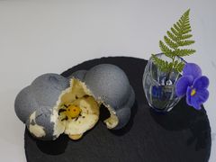 小鸡蹲蘑菇-茶是一枝花泡茶店