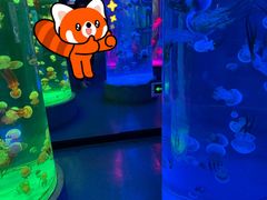 -秦皇岛新澳海底世界
