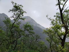 -泰山风景名胜区