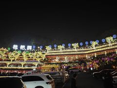 -枇杷园食为鲜火锅(南山店)