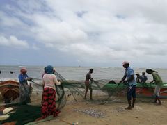 -尼甘布海鲜市场