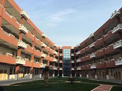 -中加枫华国际学校