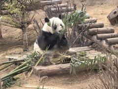 -青藏高原野生动物园