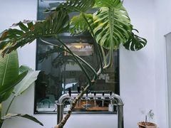 -the fall kaffe乐否咖啡