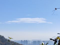 -九曜山