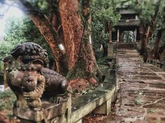 -溪口-滕头旅游景区