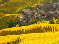 -龙脊梯田