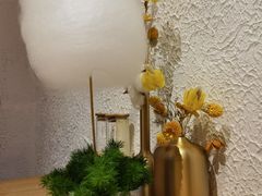 蒲公英糖葫芦-小大董·烤鸭(王府井apm店)