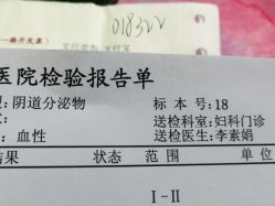 -北京安琪