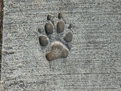 -KKV(深圳宏发大仟里店)