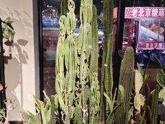 -好利来(欧亚商都店)