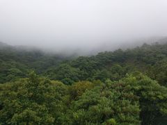 -汉仁宫·古法按摩·足道·SPA(沙井店)