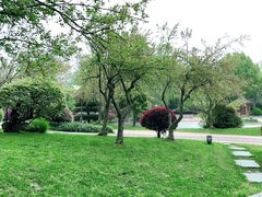 -上海东方佘山翰悦阁酒店·Vie全日制餐厅