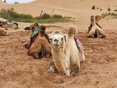 -亿利库布其七星湖沙漠生态旅游区