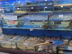 -张树军海鲜(王府壹号店)