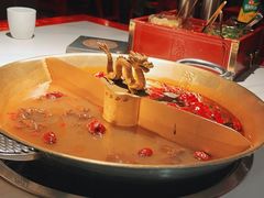 -小龙翻大江文化火锅(宽窄店)