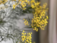 -厦门国家会计学院