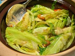 啫啫生菜煲-陶陶居酒家(美院店)