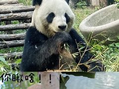 -安吉竹博园