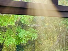 -桃花岛景观公园