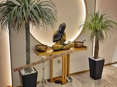 -OMSPA(盛景尚峰店)