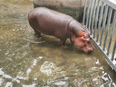 -西安秦岭野生动物园