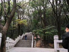 -灵岩山风景区