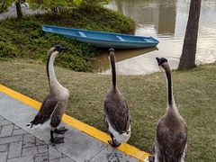 -深圳大学(丽湖校区)