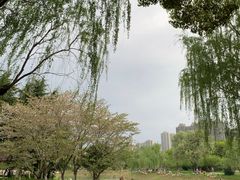 -堤角公园
