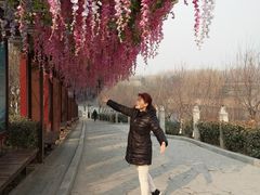 -西安汉城湖景区