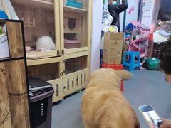 -喵汪萌宠屋旗舰店.洗澡美容.猫狗基地