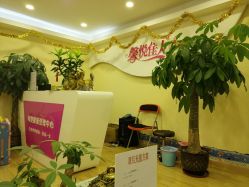 点击看大图 -康乃馨·馨悦佳人(鹭江店)