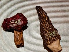 -一朵菌·野生菌探索家火锅(南亚店)