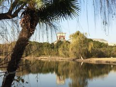 -华东政法大学(松江校区)