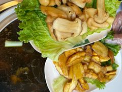 -爱膳菌锅锅(阳南店)