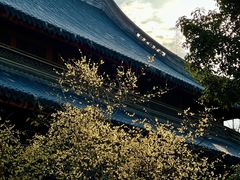 -龙华寺