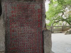 -神光山国家森林公园