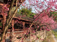 -望江楼公园