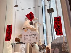 -黑胶星球(华发中城商都店)