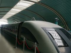 -龙阳路磁悬浮列车总站-停车场