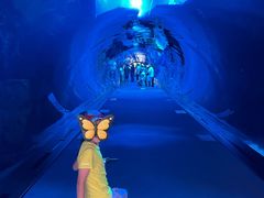 -迪拜水族馆及水下动物园