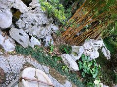 -上海醉白池公园