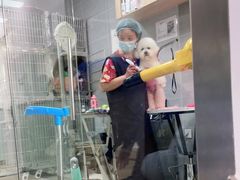 -宠福鑫康馨动物医院·骨科·眼科