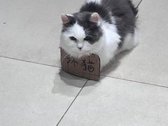 -怪兽屋·羊驼·猫咖·狗咖(俊华广场店)