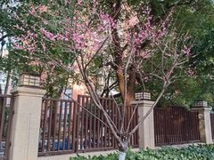 -浙江大学医学院附属第一医院(庆春院区)