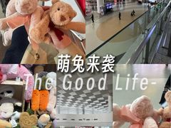 -郑州新郑国际机场-T2航站楼
