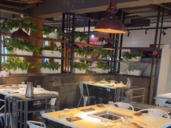 -七欣天(南京江宁店)