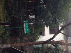 -十八棵（老龙井）御茶园(老龙井店)